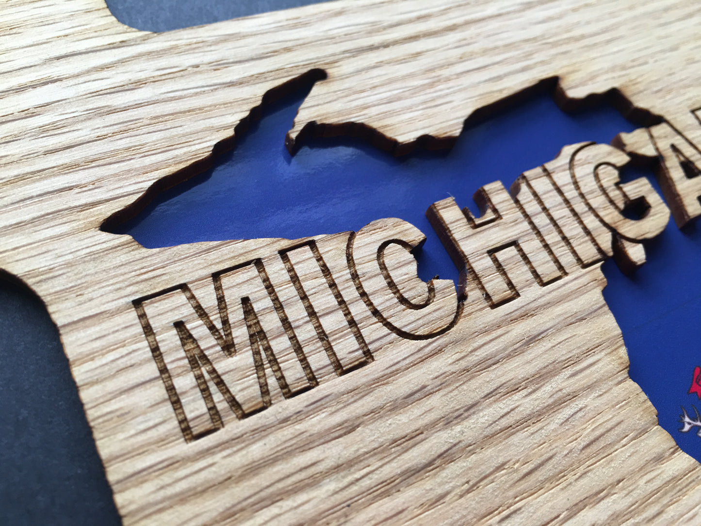 Michigan Picture Frame