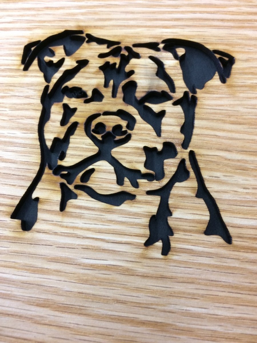 Dog Portrait Picture Frame - 5x7 Frame Holds a 3x4 Photo - Legacy Images - Picture Frames - 5x7 picture frame breed dog laser engraved