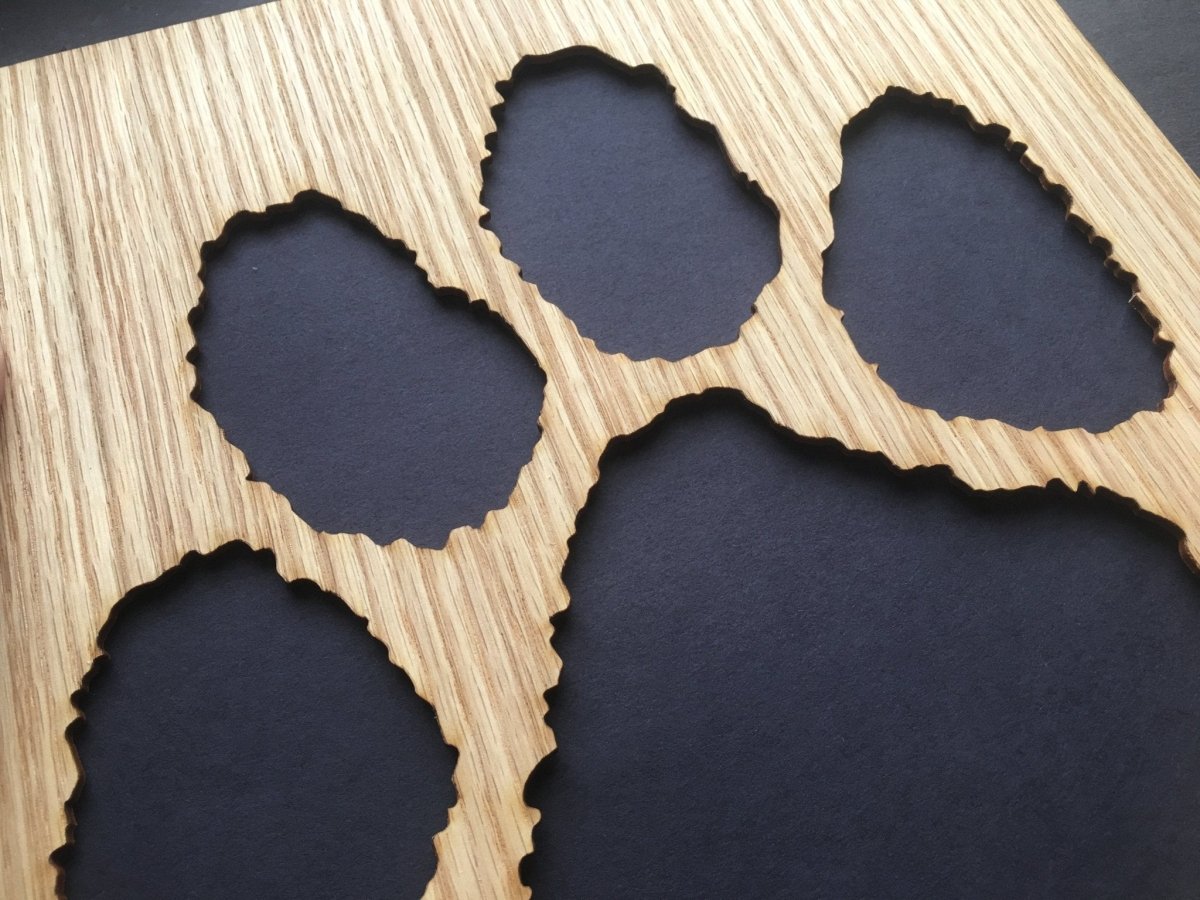 Man's Best Friend Dog Picture Frame 11"x14" - Legacy Images - Picture Frames - 11x14 Picture Frame dog gifts for him laser engraved