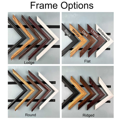 Frame Color & Style Options