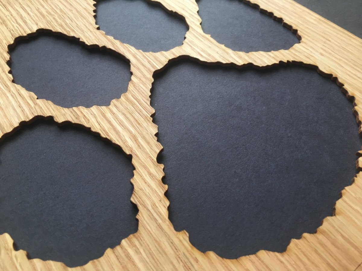 Dog Paw Print Picture Frame - Legacy Images - Picture Frames - 11x14 Picture Frame 8x10 picture frame dog laser engraved