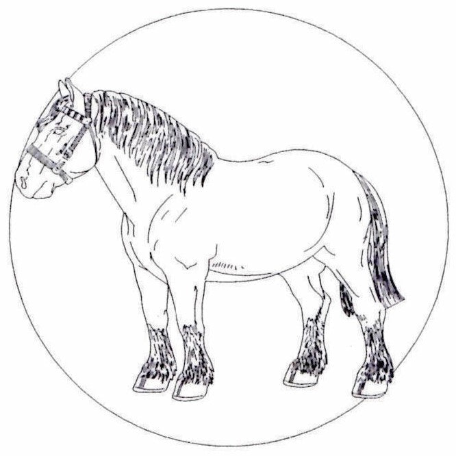 Horse Ornament - Legacy Images - Holiday Ornaments - christmas horse ornament laser engraved