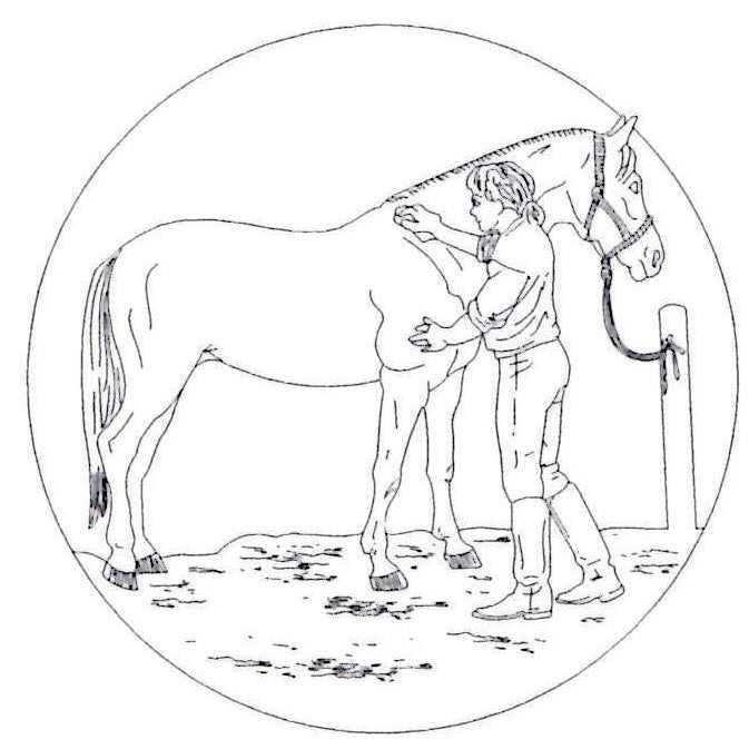 Horse Ornament - Legacy Images - Holiday Ornaments - christmas horse ornament laser engraved