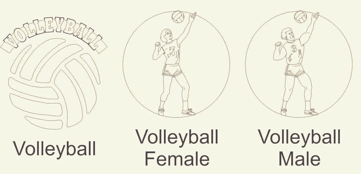 Volleyball Picture Frame - Legacy Images - Picture Frames - 11x14 Picture Frame 5x7 picture frame 8x10 picture frame laser engraved